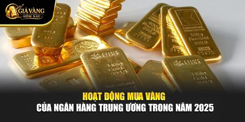 Hoạt Động Của Ngân Hàng Trung Ương Mua Vàng Năm 2025